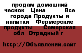 продам домашний чеснок › Цена ­ 100 - Все города Продукты и напитки » Фермерские продукты   . Самарская обл.,Отрадный г.